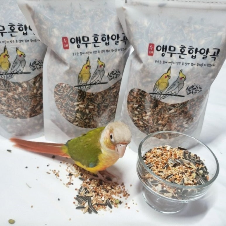 과일앵무새 이미지