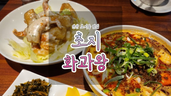 초지화과왕 이미지