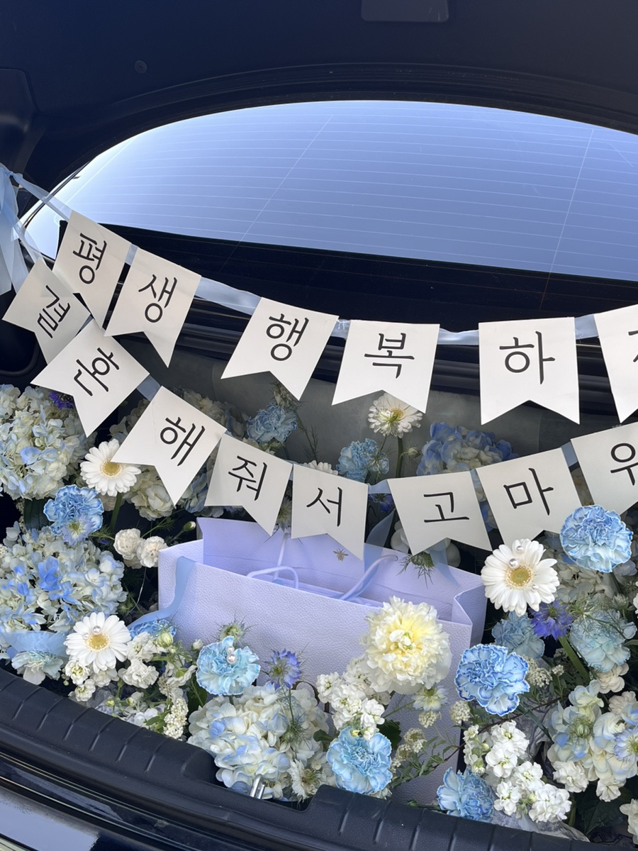 참플레르 이미지