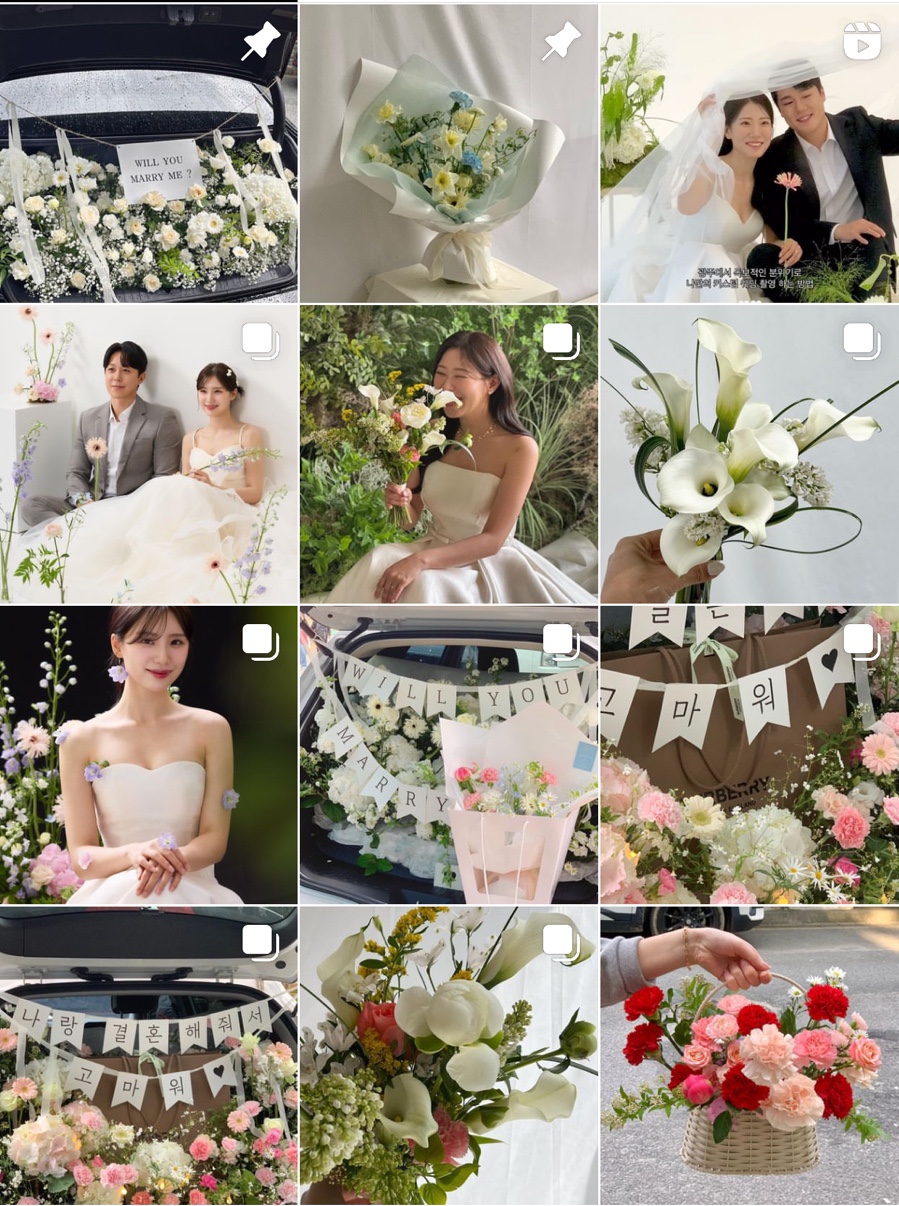 참플레르 이미지