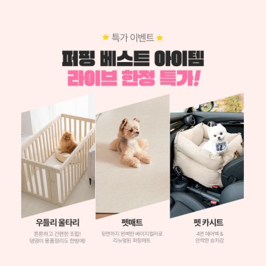 팡팡라이브 이미지
