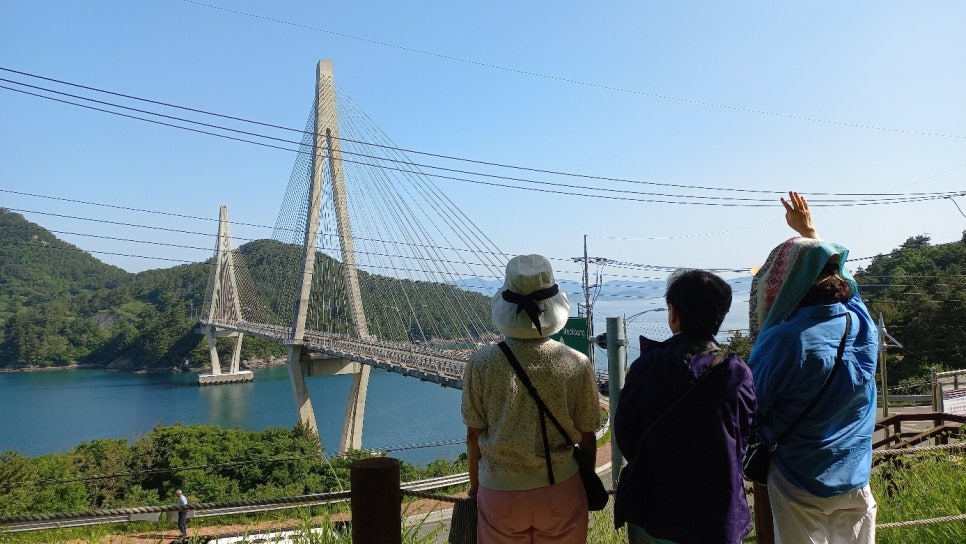 동백은멸치 이미지
