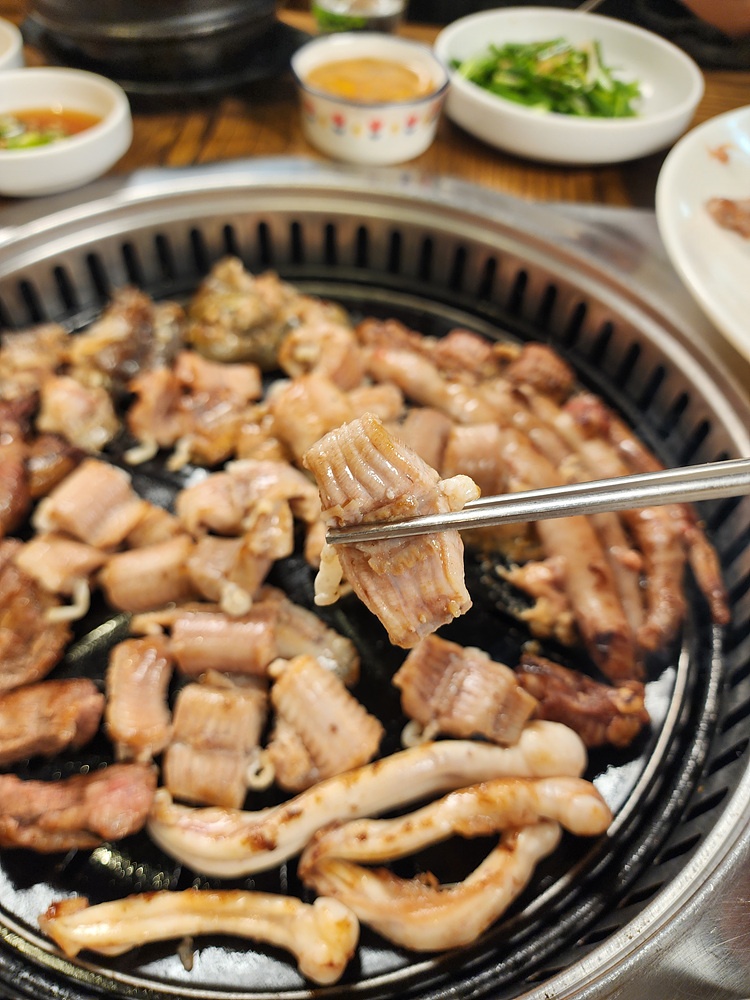 산꼼장어 이미지