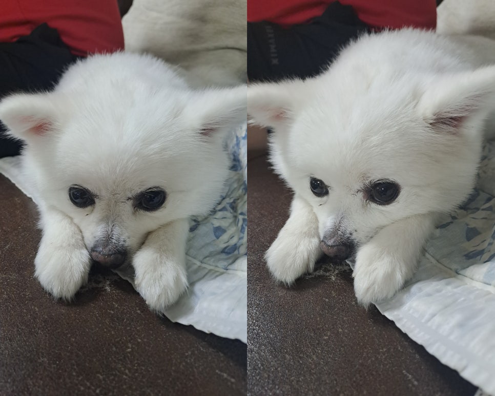 제임스펜션 이미지