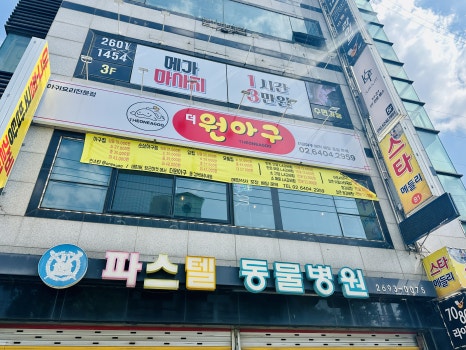 원아구 이미지