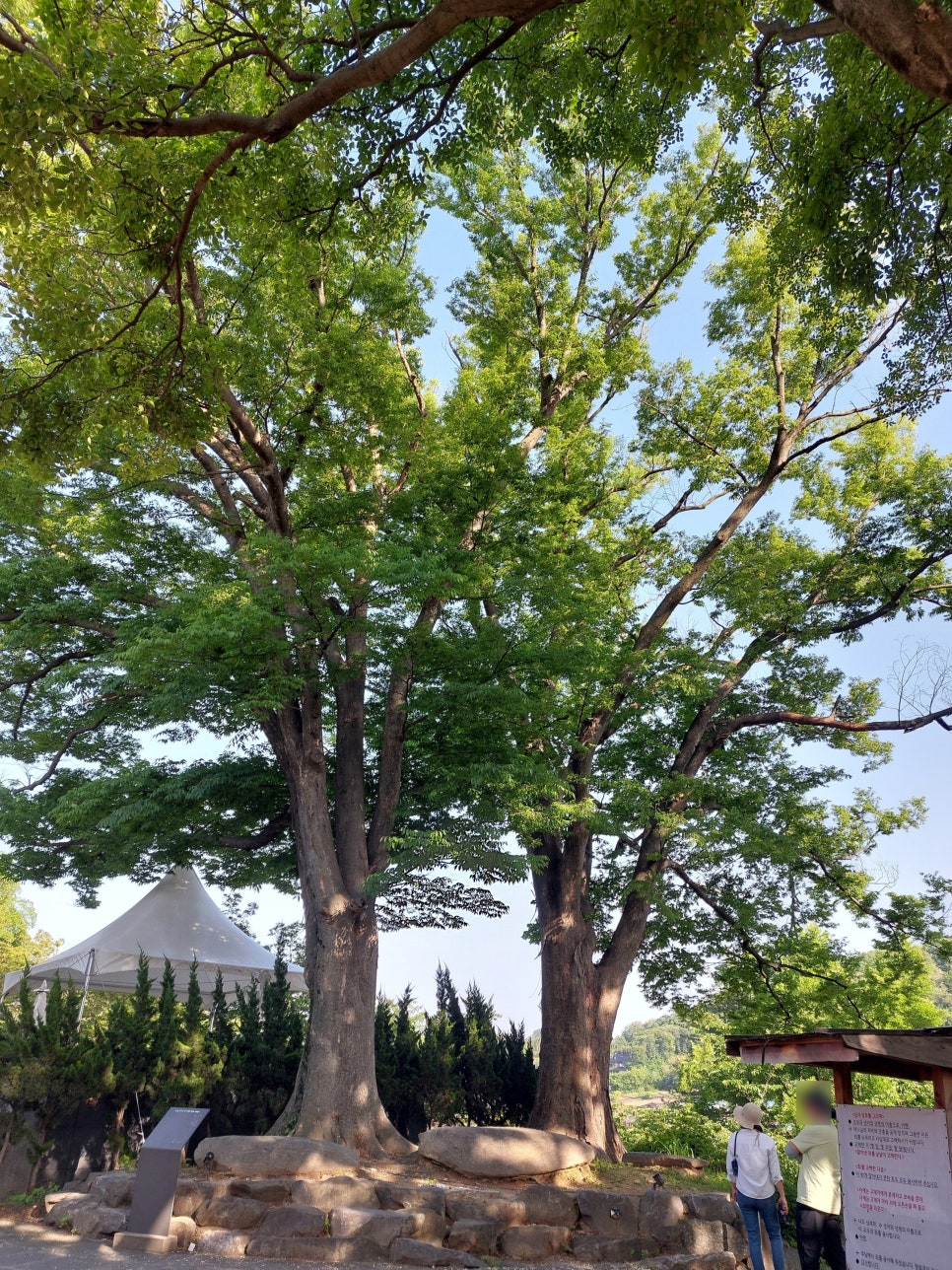 성당길55 이미지