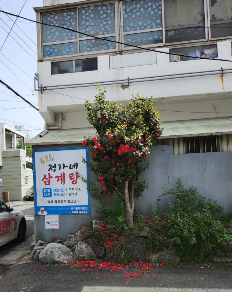 정가네삼계탕 이미지