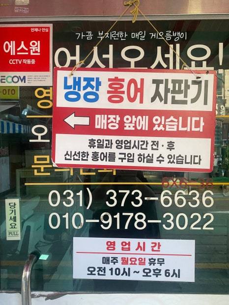 도씨네홍어 이미지