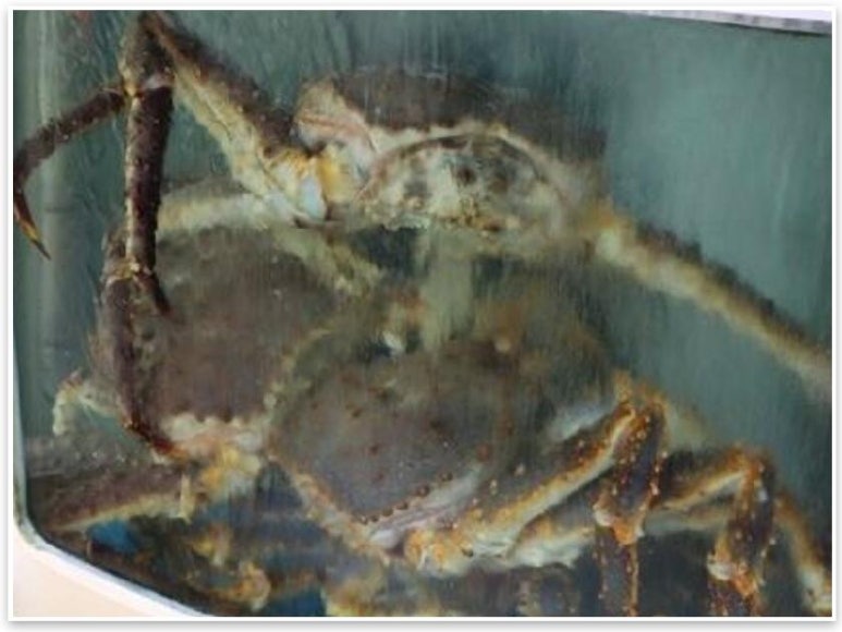 진수유통 이미지
