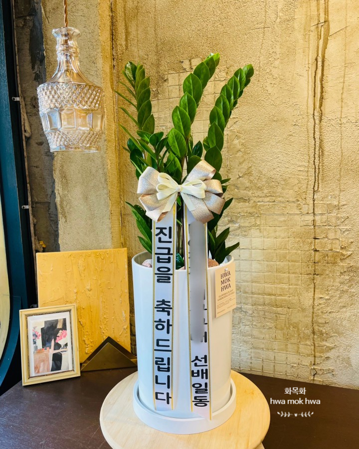 화목화 이미지