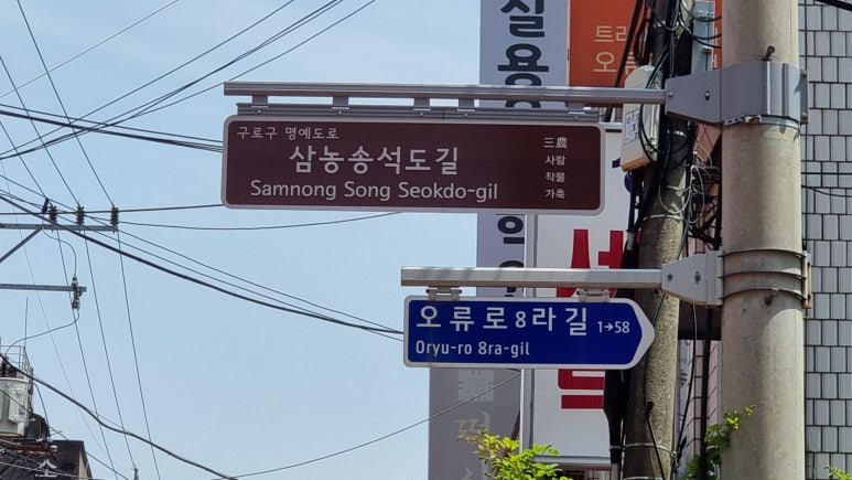 버들의류 이미지