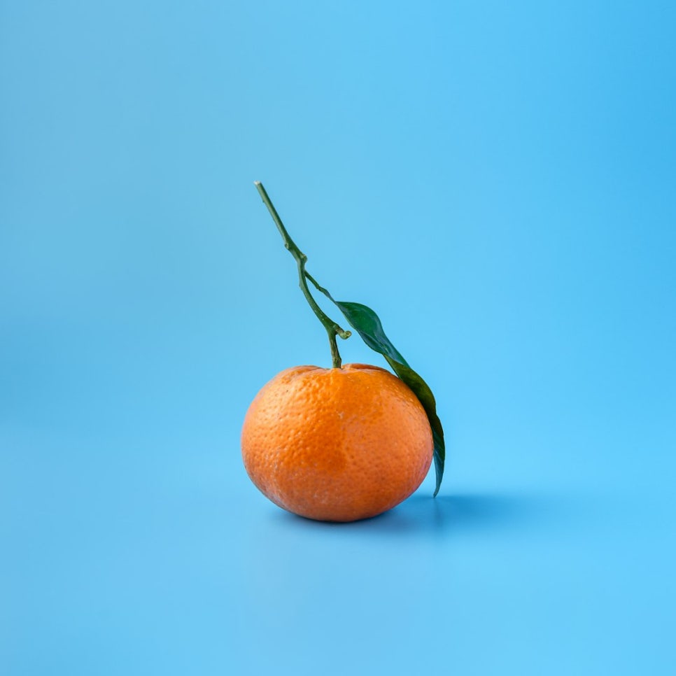 과일창고 이미지