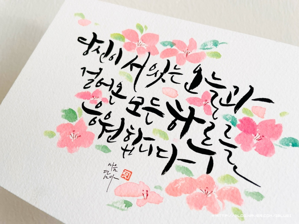 마음담은캘리그라피 이미지