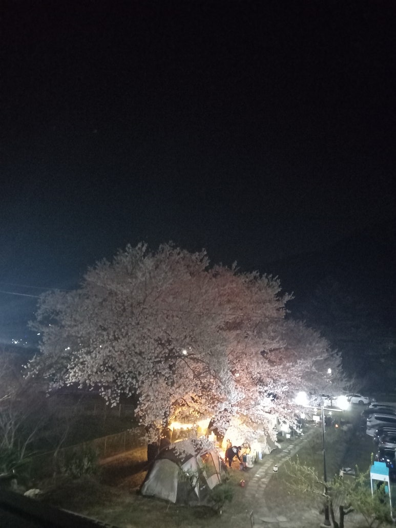 메아리 캠핑장 이미지
