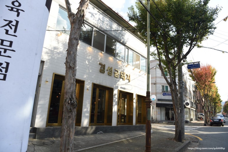 금돼지 이미지