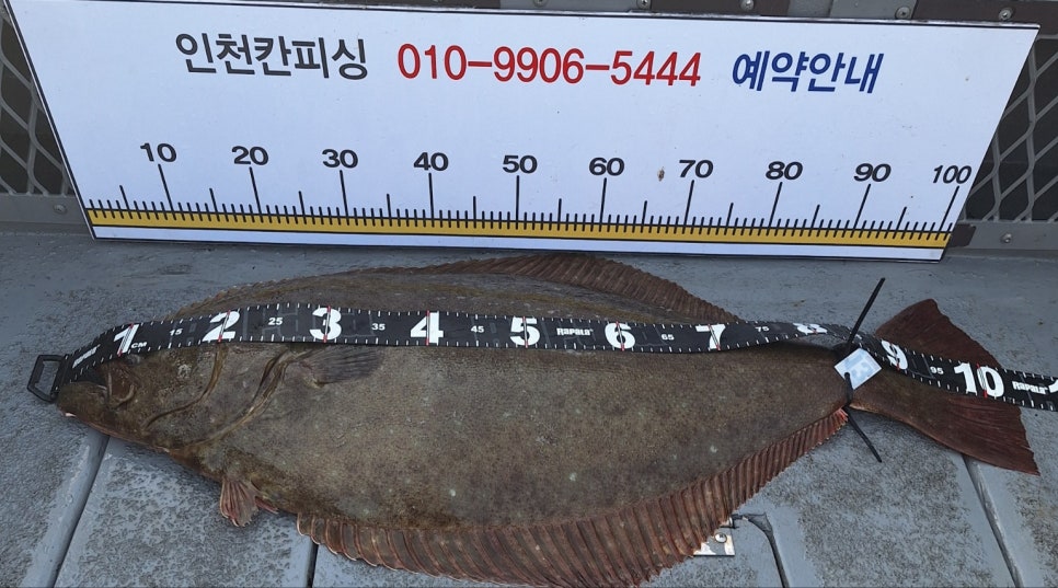 인천칸피싱 이미지