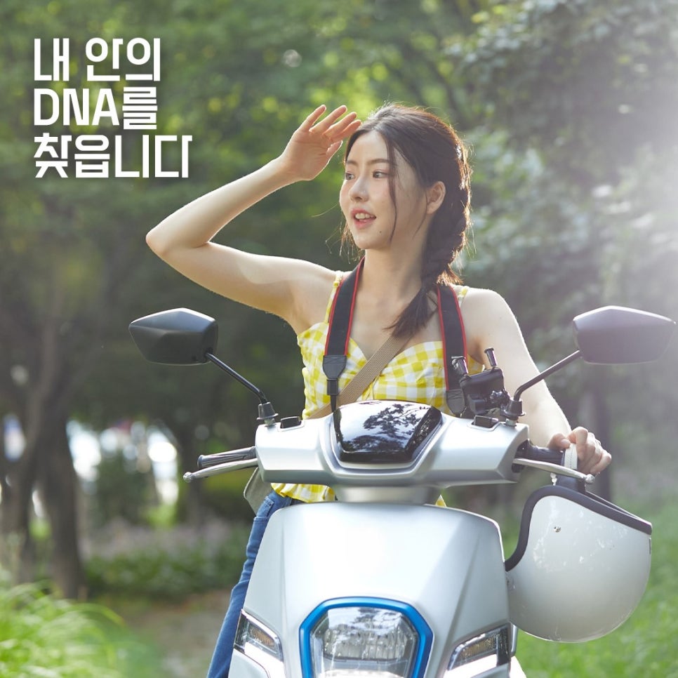 안의모터스 이미지