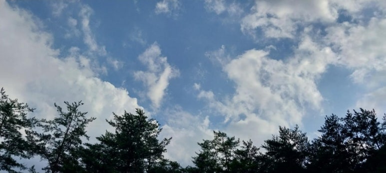 덕풍계곡별빛야영장 이미지