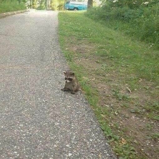빠리걸 이미지