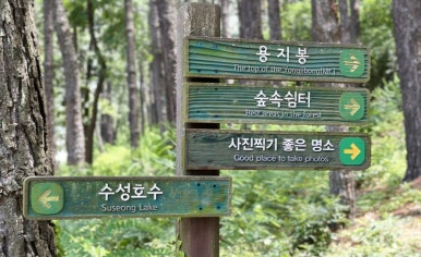 더아르떼플러스 이미지