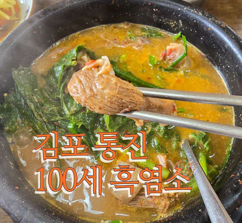 100세흑염소 이미지
