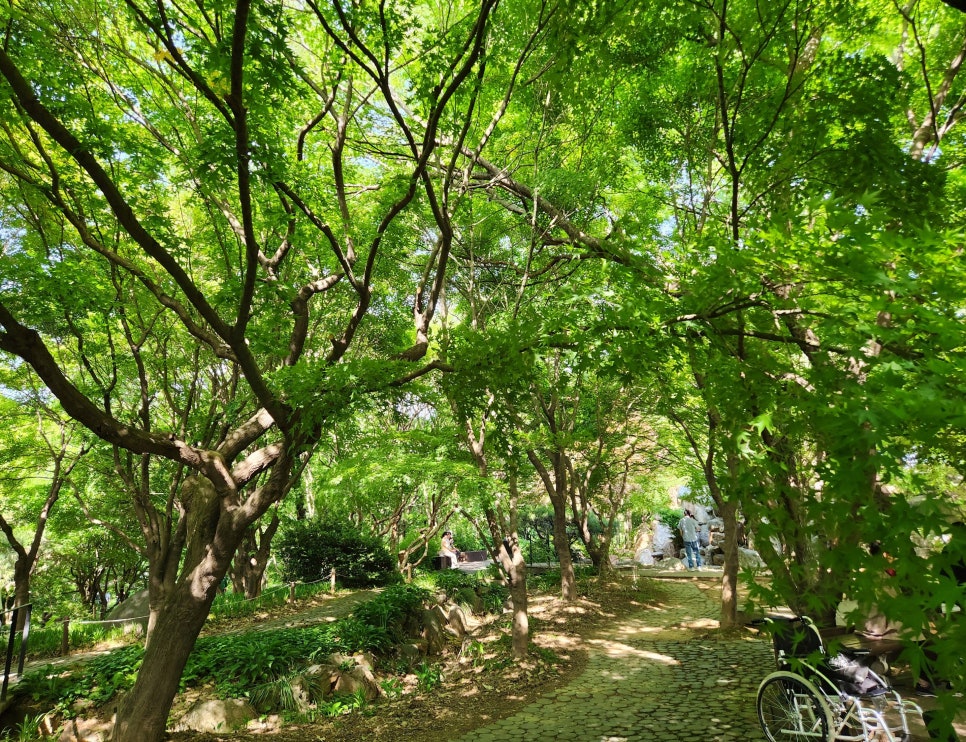 수목원수선 이미지