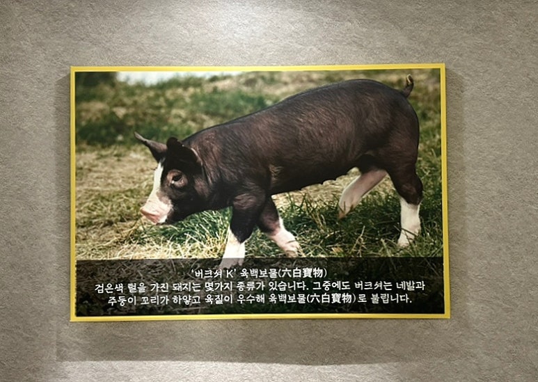 육백보물 이미지