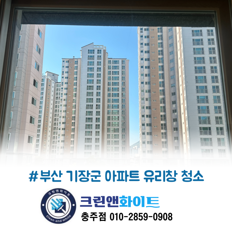 클린앤화이트 이미지
