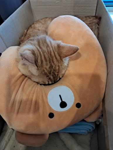 달봉이민박 이미지