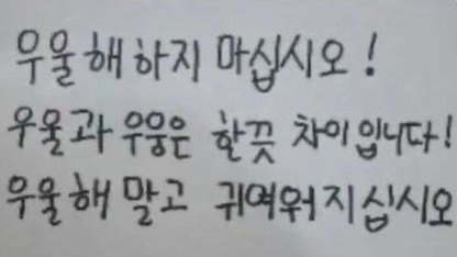 소갈딱지 이미지