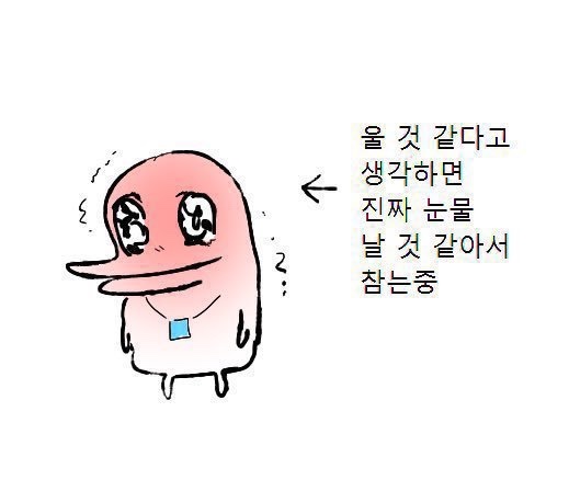 아빠돼지엄마돼지다되지 이미지