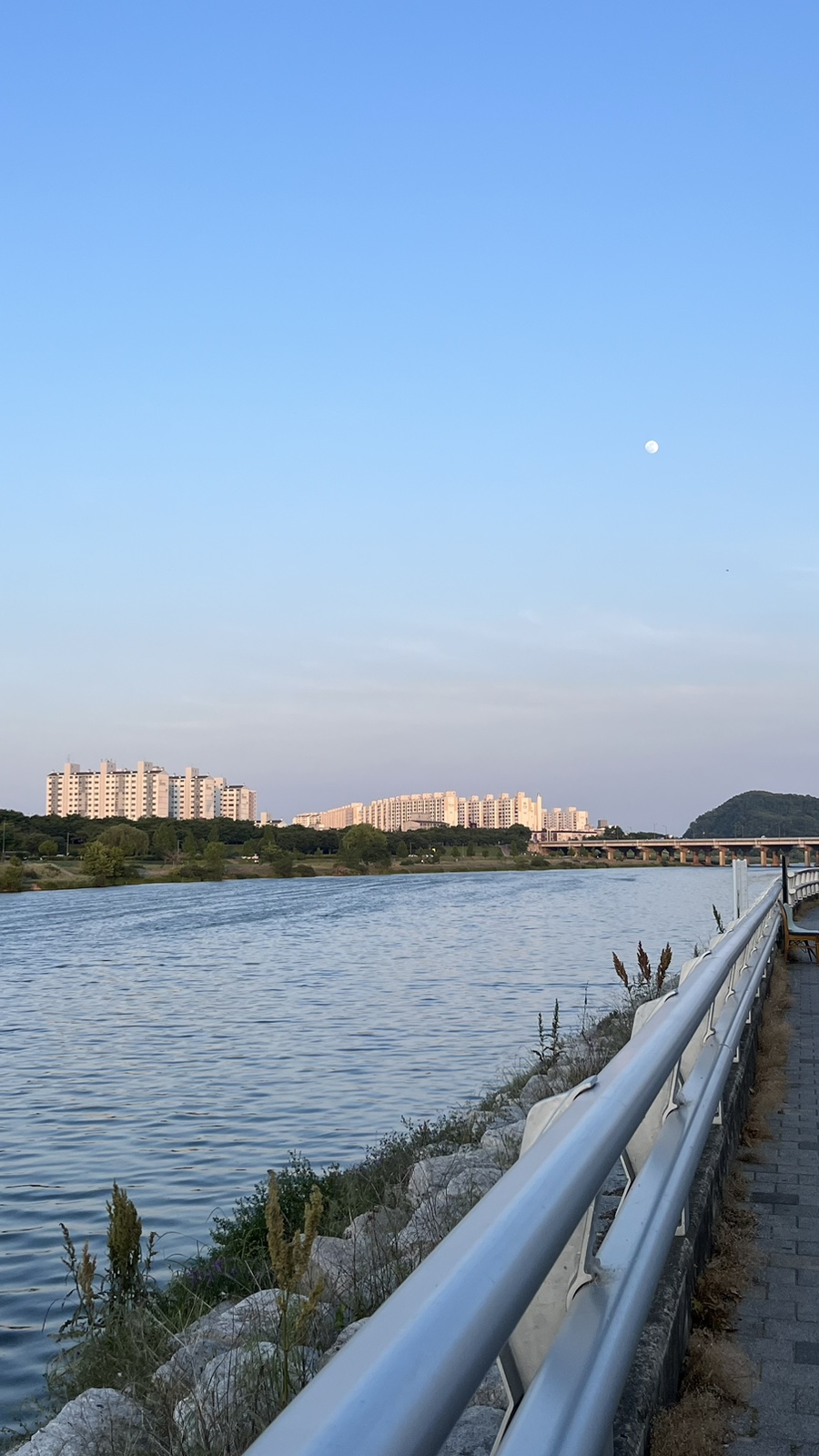 돈구운 이미지