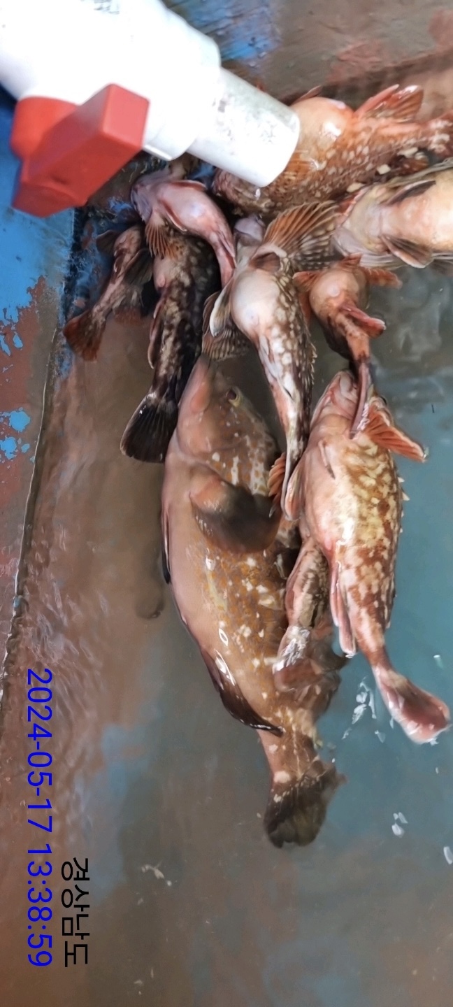 사천대물낚시 이미지