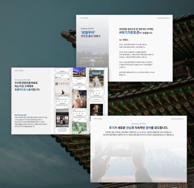 데센스 이미지