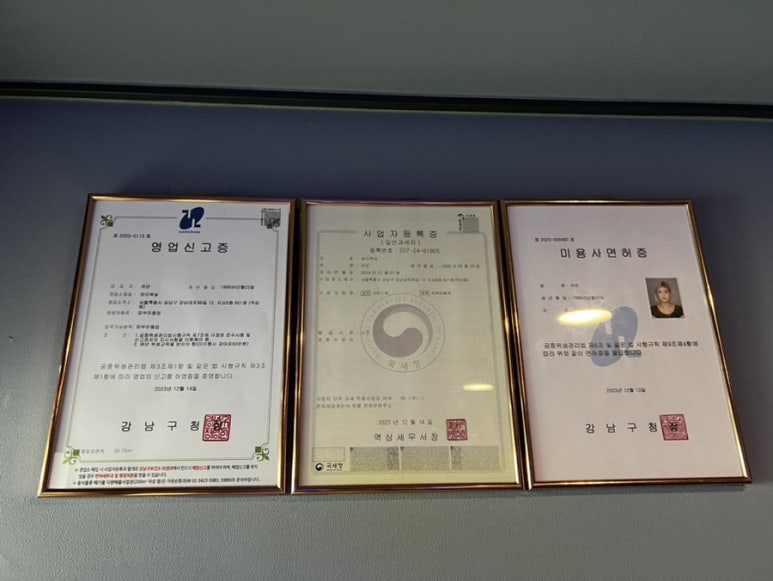 와이이엘 이미지