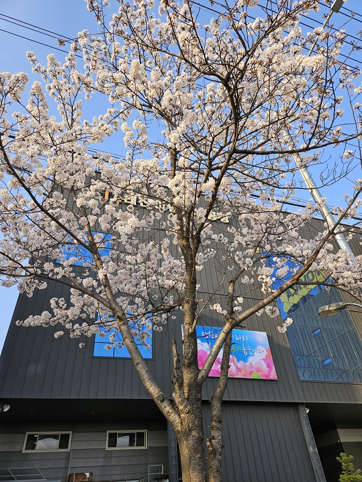 (주)선두물류 이미지