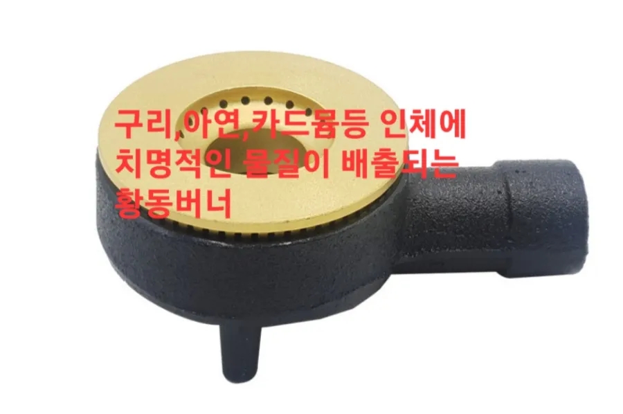 대전청사새롬어린이집 이미지