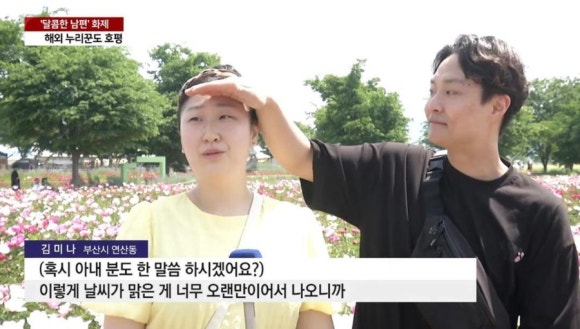 꽃보람 이미지