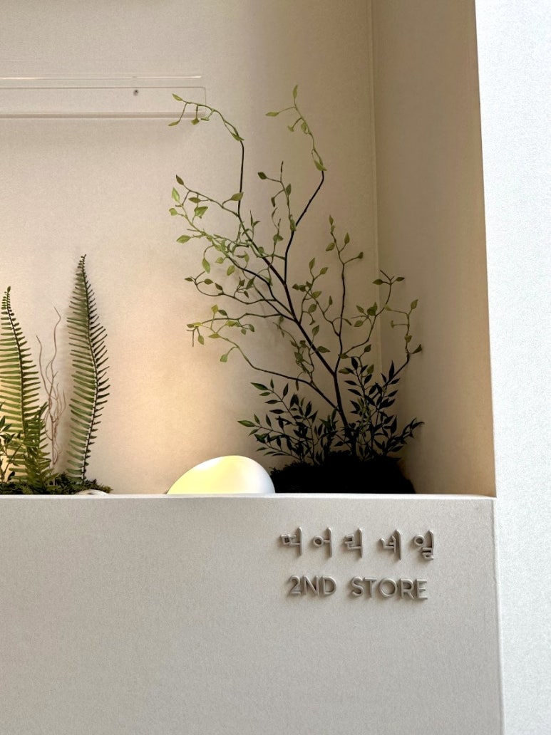 네일, 보아요 이미지