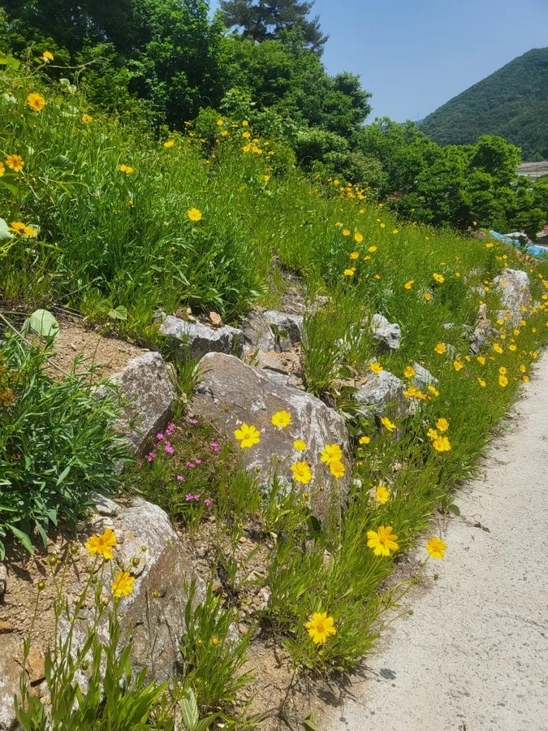 다함농원 이미지