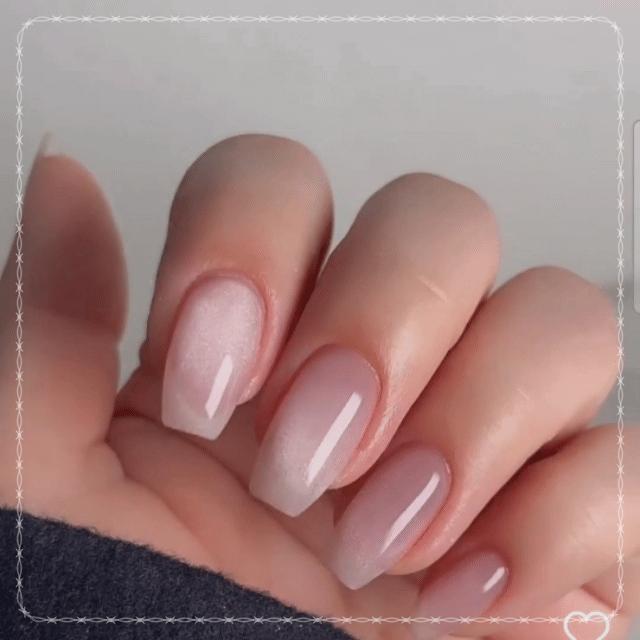 지지인터내셔널 이미지