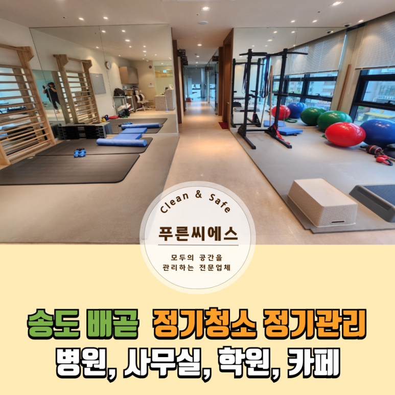 푸른씨에스 이미지