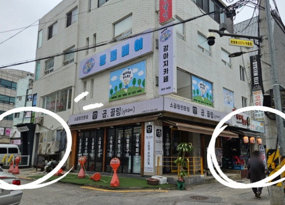 멍애견카페 이미지
