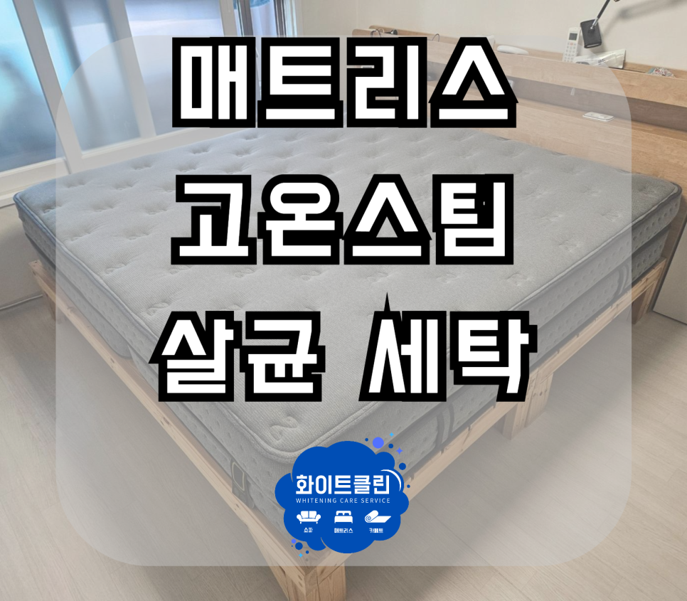 쇼파매트리스카페트청소화이트클린 이미지