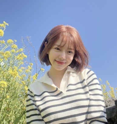헤어브릭 이미지