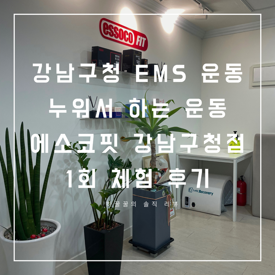 에소코_핏 강남구청점 이미지