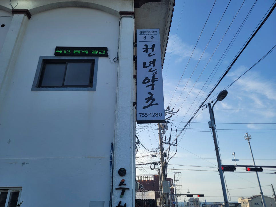천년약초 이미지