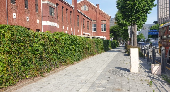 광주중앙초등학교 이미지