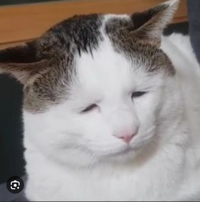목장화로구이 이미지