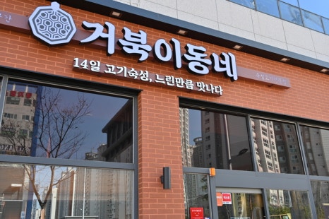 거북이동네부산 이미지